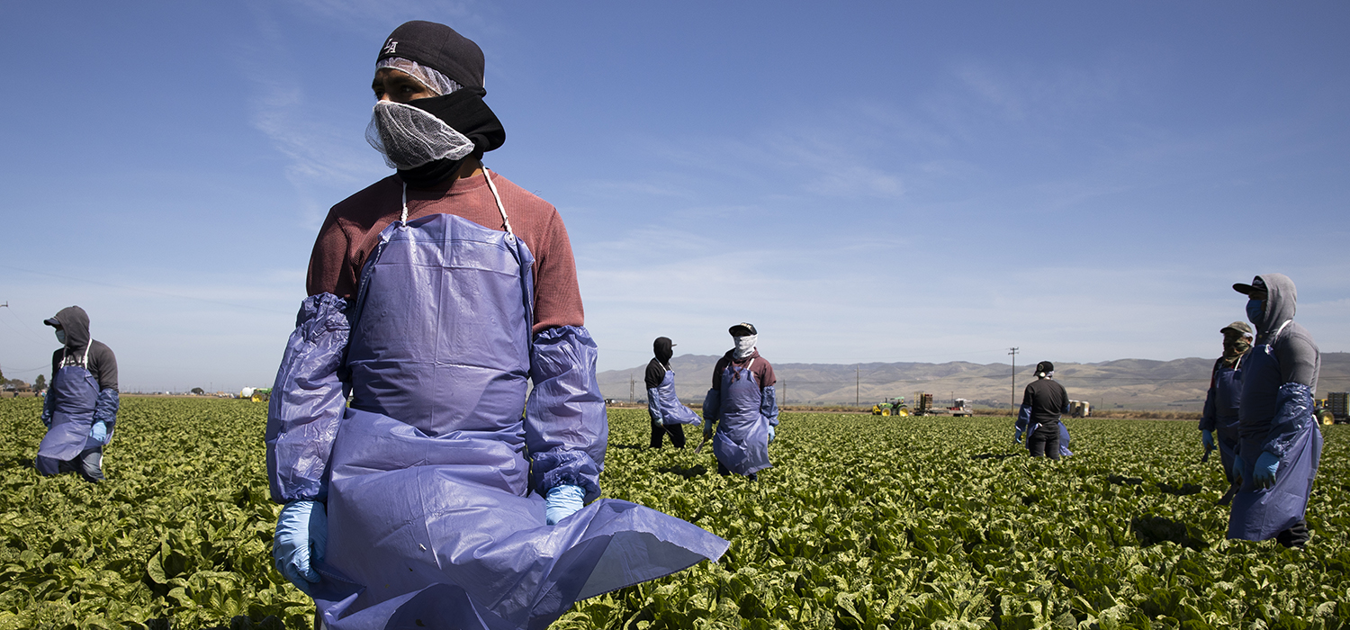 Farm laborers from Fresh Harvest working with an H-2A visa maintain a safe distance as a machine is moved on April 27, 2020 in Greenfield, California.
