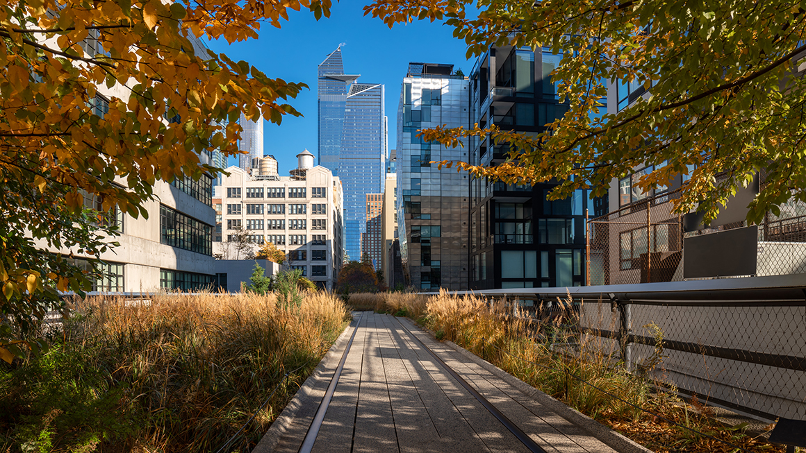 An image of the high line in New York City. 