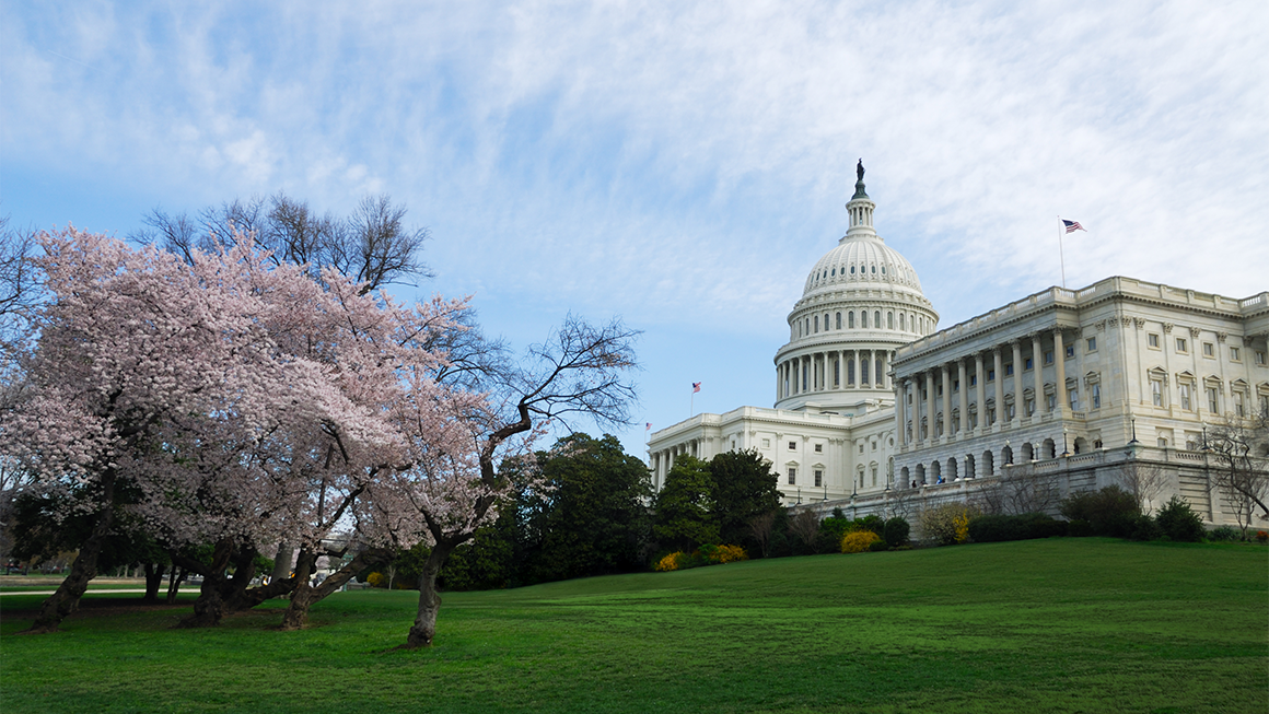 photo of capitol building in DC