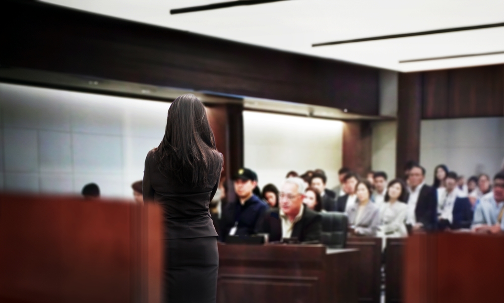 A lawyer presents before a court. Her back is to the camera and you can see the gallery.