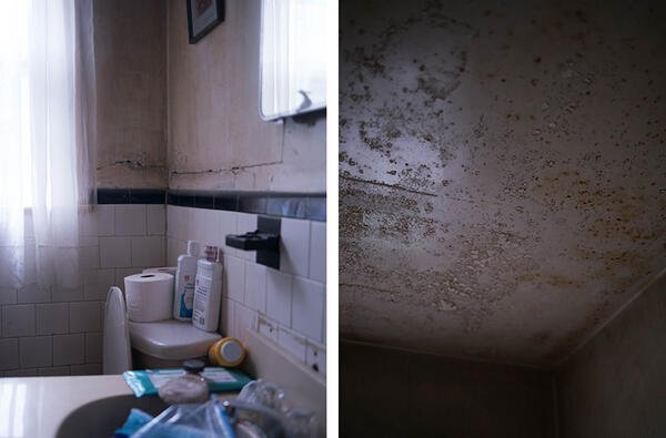 mold in bathroom photo