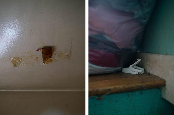 mouse traps and fly traps photos