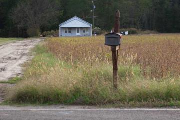 Media Name: bertie_4799-event-edit.jpg