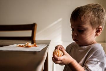 photo of child at dinner table