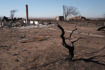 Aftermath of a wildfire