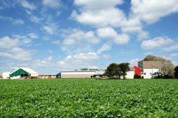 Photo of a combine harvesting soybeans on a farm in Illinois. 