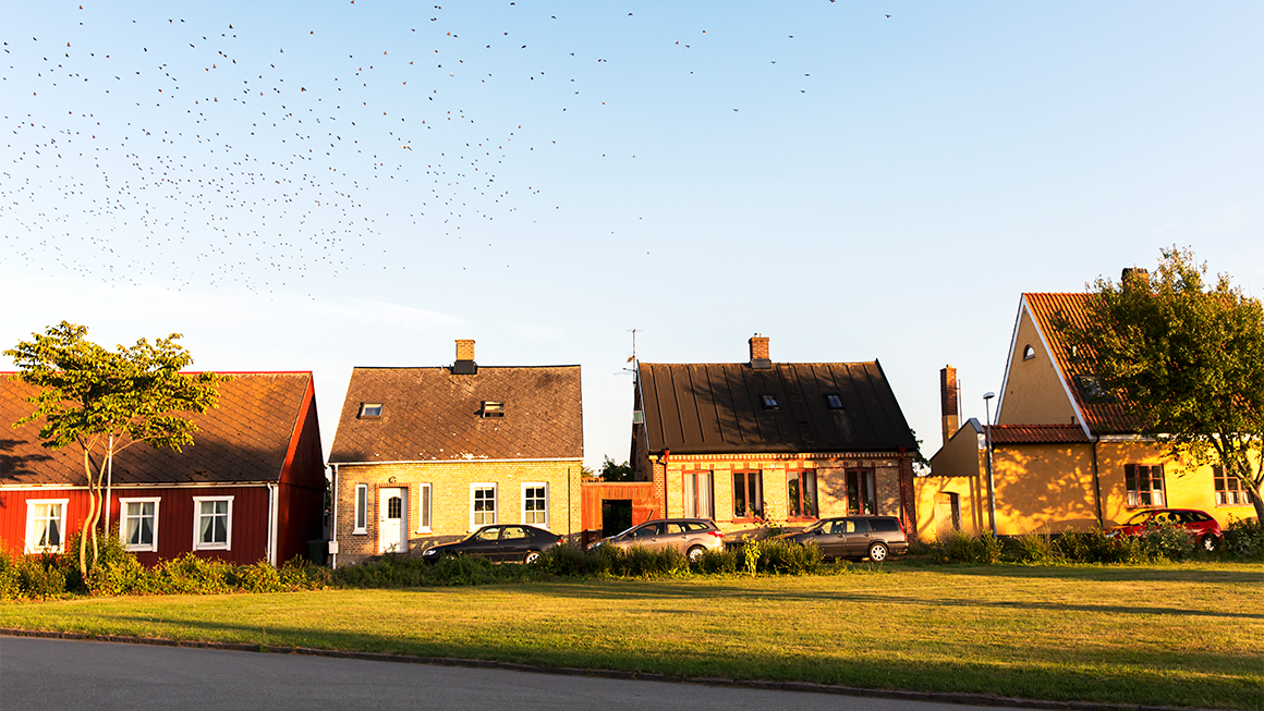 photo of buildings on a sunny day