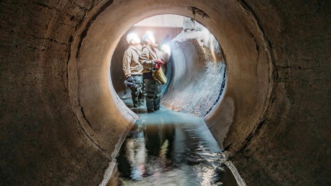 Media Name: rff_4_image.jpg