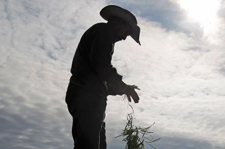 Media Name: ap101210035214.jpg