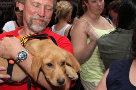 Media Name: shutterstock_146015603.jpg