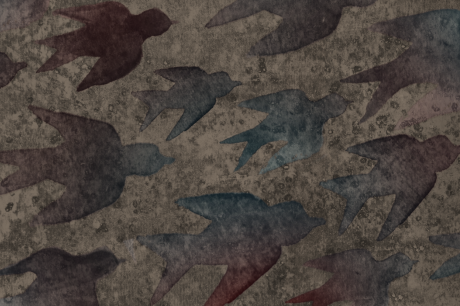 Media Name: freedom004.png