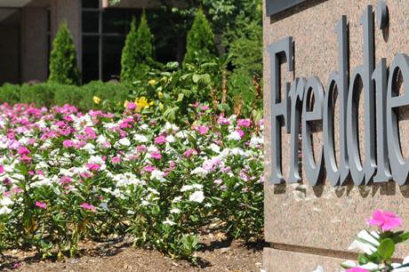 Media Name: freddie.jpg