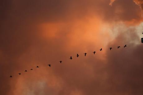 Media Name: pollution.jpg