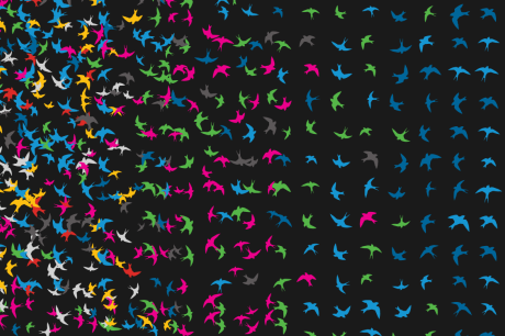 Media Name: chartoff-data-birds-01.png