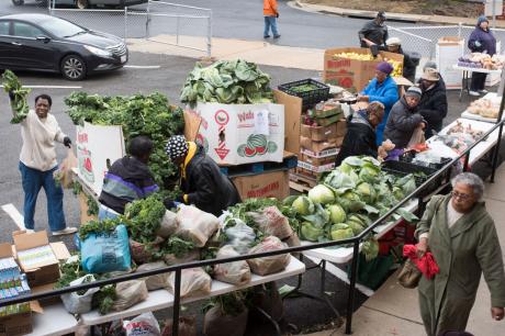 Media Name: gettyimages-925242192x.jpg