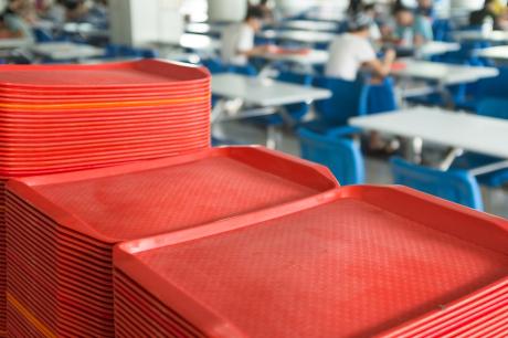 Media Name: shutterstock_467917412trays_cropped.jpg