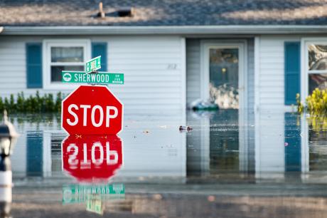 Media Name: gettyimages-1041032674_cropped_for_blog_1.jpg