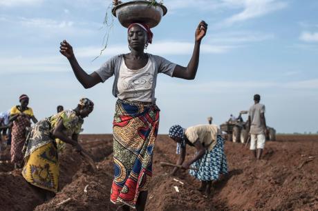 Media Name: gettyimages-839438662_cropped.jpg