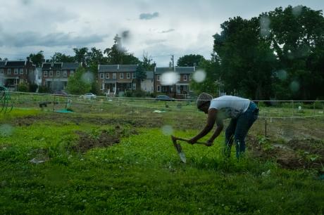 Woman works in a community garden in Washington, DC