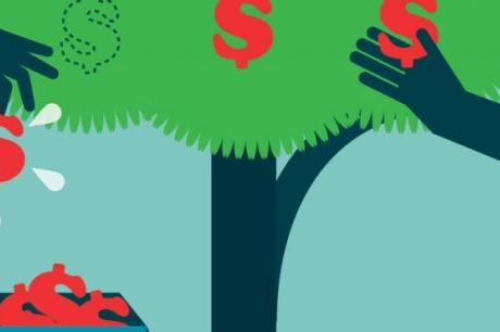 Money tree illustration
