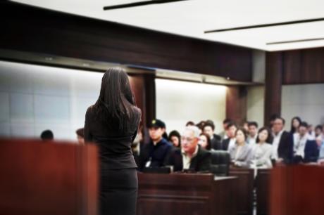 A lawyer presents before a court. Her back is to the camera and you can see the gallery.